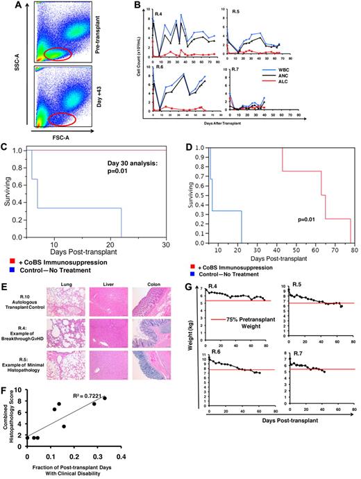 Figure 5. The effect of CoBS immunosuppression on GVHD. (A) Lymphocyte proliferation was inhibited in animals treated with CoBS. Representative example of R.5 showing forward-scatter versus side-scatter characteristics before transplantation (top) and on day 43 (bottom), during CoBS treatment. (B) Longitudinal analysis of the white blood cell (WBC) count, absolute neutrophil count (ANC) and absolute lymphocyte count (ALC) in R.4-R.7. (C) Survival advantage observed with CoBS immunosuppression. At the 30-day primary endpoint, all untreated animals had died, and 100% of CoBS-treated animals survived (P = .01). (D) Extended survival analysis of CoBS-treated versus untreated cohorts. Log-rank analysis indicated that overall survival of the CoBS-treated cohort (MST = 62 days) was statistically significantly different from the untreated cohort (MST = 11.6 days; P = .01). MST = mean survival time. (E) Photomicrographs of hematoxylin and eosin staining of the lungs, liver, and colon of the autologous transplant control (R.10), a representative CoBS-treated recipient who developed significant breakthrough GVHD (R.4), and a representative CoBS-treated recipient who showed minimal GVHD histopathology (R.5). Bar = 100 μm. These studies used an Olympus BX51 microscope (Olympus America), using a 10×/0.40 UPlan Apo lens (Olympus). Slides were mounted with Permount solution (Sigma-Aldrich) and photographs were taken with the Spot RT Slider imaging system (Spot Imaging Solutions). Image analysis was performed using Spot Advanced Version 4.6 (Spot Imaging Solutions), and image processing was performed using Photoshop CS4 extended v11.01 (Adobe). (F) Correlation of clinical disability (as measured by the activity score) with GVHD histopathology. The data fit a linear equation with an R2 = 0.7221. (G) Longitudinal analysis of weight loss in animals treated with CoBS immunosuppression.