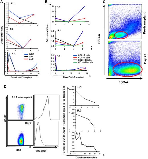 Figure 3. The flow cytometric signature of primate GVHD. (A) Longitudinal analysis of the white blood cell (WBC) count, absolute neutrophil count (ANC), and absolute lymphocyte count (ALC) in R.1-R.3. (B) Longitudinal analysis of the absolute CD8+ T-cell count, the absolute CD4+ T-cell count, the absolute CD20+ B-cell count, and the absolute CD16+ natural killer (NK) cell count in R.1-R.3. (C) Forward-scatter (FSC-A) versus side-scatter (SSC-A) flow cytometric analysis of the lymphocyte blast phenotype (red circle) in GVHD. Example from R.1 before transplantation (top) and on day 7 (bottom), during rapid T-cell expansion. (D) Down-regulation of CD127 in expanding CD8+ T cells during GVHD. Panels on the left show pseudocolor dot plots and histogram analysis of CD127 expression on CD8+ T cells analyzed both before transplantation (top) and on day 7 (bottom). Panels on the right show longitudinal analysis of CD127 expression on CD8+ T cells in R.1-R.3, compared with pretransplantation expression levels of CD127. (E) Representative flow cytometric analysis of R.2, showing the phenotypic shift away from naive T cells that occurred in both CD4+ and CD8+ compartments during GVHD; before transplantation (top), day 6 after transplantation (bottom). (Third column from the left, top, and bottom) Example of CD4+ T cells shifting to a CD28+/CD95+ predominant phenotype after transplantation (compare top with bottom rows). (Fourth column from the left) Example of CD8+ T cells shifting to a CD28−/CD95+ predominant phenotype after transplantation (compare top with bottom rows). (F) Longitudinal analysis of CD4+ and CD8+ T-cell subsets during GVHD. R.1-R.3 all shift toward a predominant CD28−/CD95+ CD8+ phenotype (left) and a predominant CD28+/CD95+ CD4+ phenotype (right). (G) Representative CFSE (5,6-carboxyfluorescein diacetate, succinimidyl ester) MLR analysis of the proliferation of CD28+ and CD28− CD8+ T cells. (Left) Representative flow cytometric analysis of CD3+/CD8+ T cells showing the CD28 and CD95 phenotypes. (Right) CFSE MLR analysis after a 5-day MLR culture. Minimal proliferation occurred in cultures incubated without any stimulators (“No stimulation”) or those incubated with autologous stimulator cells (“+ Auto-stimulation”). However, in those incubated with allogeneic PBMCs (“+ Allo-stimulation), proliferation occurred in both CD28+ and CD28− subpopulations. The results shown are representative of ≥ 5 separate MLR assays with the use of distinct donor:recipient pairs. (H) CFSE MLR analysis of flow cytometrically sorted CD28+ and CD28− populations. CD28+/CD95−, CD28+/CD95+, and CD28−/CD95+ CD8+ T cells were sorted with a FACSAria flow cytometer before CFSE MLR analysis either in the absence (left) or presence (right) of allogeneic stimulator cells. Shown are representative CFSE proliferation profiles from 1 of 3 replicate experiments. (I) Granzyme B expression is highly up-regulated during GVHD. Shown is a representative example of the mean fluorescence intensity of granzyme B in both CD28+/CD95+ and CD28−/CD95+ subpopulations for CD4+ and CD8+ T cells; granzyme B fluorescence before transplantation (black), granzyme B fluorescence at the time of necropsy in the setting of severe clinical GVHD (red). (J) BCl-2 and Ki-67 show significant shifts in expression during GVHD. (Top) Representative analysis from R.2, before transplantation. (Bottom) Day 6 after transplantation. (Left) T-cell subpopulations are first identified with CD28 and CD95 staining. The CD28+/CD95+ and CD28−/CD95+ cells were then queried for their expression of BCl-2 and Ki-67 (right). (K) CD4+/FoxP3+ cells expanded during GVHD in rhesus macaques. (Red) Longitudinal analysis of CD4+/FoxP3+ T-cell homeostasis in the untreated animals R.2, R.3, as well as a third MHC-disparate transplant recipient (R.1 could not be evaluated because of a technical problem with FoxP3 staining on the day of death). (Black) Longitudinal analysis of CD4+/FoxP3+ T-cell homeostasis in the CoBS-treated animals, R.4, R.5, and R.7 (R.6 could not be evaluated because of technical problems with CD3/CD4 staining for this animal). (L) FoxP3+/CD4+ T cells (gated population, and blue traces on the histograms) showed up-regulation of CD25, down-regulation of CD127, and up-regulation of CD27 compared with FoxP3−/CD4+ T cells (red traces).