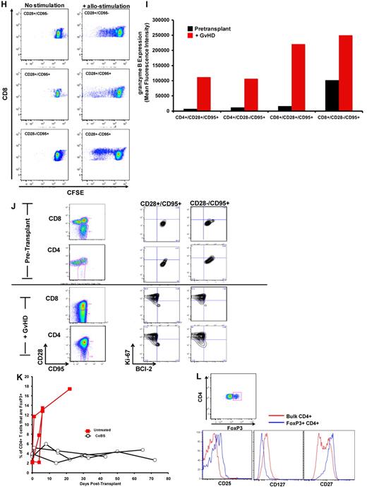 Figure 3. The flow cytometric signature of primate GVHD. (A) Longitudinal analysis of the white blood cell (WBC) count, absolute neutrophil count (ANC), and absolute lymphocyte count (ALC) in R.1-R.3. (B) Longitudinal analysis of the absolute CD8+ T-cell count, the absolute CD4+ T-cell count, the absolute CD20+ B-cell count, and the absolute CD16+ natural killer (NK) cell count in R.1-R.3. (C) Forward-scatter (FSC-A) versus side-scatter (SSC-A) flow cytometric analysis of the lymphocyte blast phenotype (red circle) in GVHD. Example from R.1 before transplantation (top) and on day 7 (bottom), during rapid T-cell expansion. (D) Down-regulation of CD127 in expanding CD8+ T cells during GVHD. Panels on the left show pseudocolor dot plots and histogram analysis of CD127 expression on CD8+ T cells analyzed both before transplantation (top) and on day 7 (bottom). Panels on the right show longitudinal analysis of CD127 expression on CD8+ T cells in R.1-R.3, compared with pretransplantation expression levels of CD127. (E) Representative flow cytometric analysis of R.2, showing the phenotypic shift away from naive T cells that occurred in both CD4+ and CD8+ compartments during GVHD; before transplantation (top), day 6 after transplantation (bottom). (Third column from the left, top, and bottom) Example of CD4+ T cells shifting to a CD28+/CD95+ predominant phenotype after transplantation (compare top with bottom rows). (Fourth column from the left) Example of CD8+ T cells shifting to a CD28−/CD95+ predominant phenotype after transplantation (compare top with bottom rows). (F) Longitudinal analysis of CD4+ and CD8+ T-cell subsets during GVHD. R.1-R.3 all shift toward a predominant CD28−/CD95+ CD8+ phenotype (left) and a predominant CD28+/CD95+ CD4+ phenotype (right). (G) Representative CFSE (5,6-carboxyfluorescein diacetate, succinimidyl ester) MLR analysis of the proliferation of CD28+ and CD28− CD8+ T cells. (Left) Representative flow cytometric analysis of CD3+/CD8+ T cells showing the CD28 and CD95 phenotypes. (Right) CFSE MLR analysis after a 5-day MLR culture. Minimal proliferation occurred in cultures incubated without any stimulators (“No stimulation”) or those incubated with autologous stimulator cells (“+ Auto-stimulation”). However, in those incubated with allogeneic PBMCs (“+ Allo-stimulation), proliferation occurred in both CD28+ and CD28− subpopulations. The results shown are representative of ≥ 5 separate MLR assays with the use of distinct donor:recipient pairs. (H) CFSE MLR analysis of flow cytometrically sorted CD28+ and CD28− populations. CD28+/CD95−, CD28+/CD95+, and CD28−/CD95+ CD8+ T cells were sorted with a FACSAria flow cytometer before CFSE MLR analysis either in the absence (left) or presence (right) of allogeneic stimulator cells. Shown are representative CFSE proliferation profiles from 1 of 3 replicate experiments. (I) Granzyme B expression is highly up-regulated during GVHD. Shown is a representative example of the mean fluorescence intensity of granzyme B in both CD28+/CD95+ and CD28−/CD95+ subpopulations for CD4+ and CD8+ T cells; granzyme B fluorescence before transplantation (black), granzyme B fluorescence at the time of necropsy in the setting of severe clinical GVHD (red). (J) BCl-2 and Ki-67 show significant shifts in expression during GVHD. (Top) Representative analysis from R.2, before transplantation. (Bottom) Day 6 after transplantation. (Left) T-cell subpopulations are first identified with CD28 and CD95 staining. The CD28+/CD95+ and CD28−/CD95+ cells were then queried for their expression of BCl-2 and Ki-67 (right). (K) CD4+/FoxP3+ cells expanded during GVHD in rhesus macaques. (Red) Longitudinal analysis of CD4+/FoxP3+ T-cell homeostasis in the untreated animals R.2, R.3, as well as a third MHC-disparate transplant recipient (R.1 could not be evaluated because of a technical problem with FoxP3 staining on the day of death). (Black) Longitudinal analysis of CD4+/FoxP3+ T-cell homeostasis in the CoBS-treated animals, R.4, R.5, and R.7 (R.6 could not be evaluated because of technical problems with CD3/CD4 staining for this animal). (L) FoxP3+/CD4+ T cells (gated population, and blue traces on the histograms) showed up-regulation of CD25, down-regulation of CD127, and up-regulation of CD27 compared with FoxP3−/CD4+ T cells (red traces).