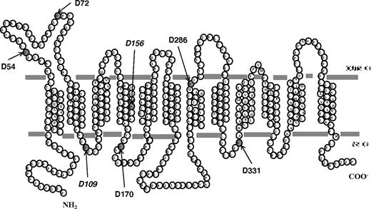 Figure 2. A topologic model for human PCFT.18 All 7 Asp residues are indicated. D54 is semiconserved; D72, D109, D156, D170, D286, and D331 are fully conserved among species (monkey, horse, rat, mouse, dog, cow, opossum, xenopus, and zebra fish). D156 is mutated in the subject with HFM.