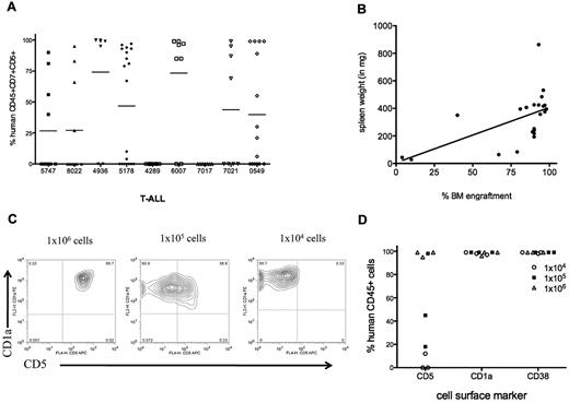 Figure 2. T-ALL engraftment in NS122 recipients. (A) NS122 mice were injected intrafemorally with 1 × 103 to 1 × 107 T-ALL cells from 9 patient samples. Xenografts were assessed 20 weeks after injection by flow cytometry for the percentage of human CD45+CD7+CD5+ cells in the BM with each symbol representing one recipient. The bar represents the mean percentage for each T-ALL sample. (B) Spleens from engrafted NS122 xenografts were weighed. Graph depicts spleen weight (y-axis) with percentage of human CD45+CD7+CD5+ leukemia cells in the BM (x-axis) from engrafted recipients, with each dot representing one recipient. Linear regression analysis revealed correlation between level of RF engraftment and spleen weight (P = .0058). (C) BM cells from engrafted NS122 xenografts injected with 1 × 104 (left panel), 1 × 105 (middle panel), or 1 × 106 (right panel) 5178 T-ALL cells were analyzed by flow cytometry. The figure represents results gated on human CD45+ cells that coexpress CD1a and CD5. (D) The percentages of CD45+ T-ALL cells coexpressing surface CD5, CD1a, and CD38 from NS122 recipients injected with 1 × 104 to 1 × 106 5178 T-ALL cells are shown, with each dot representing one NS122 recipient.
