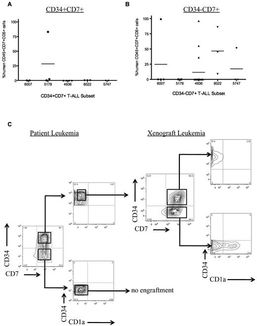 Figure 4. Sorted T-ALL subsets engraft in NS122 xenografts. (A) Five primary T-ALL samples were sorted for CD34 and CD7 expression, then injected intrafemorally into NS122 recipients. Cell dose for each subset ranged from 3 × 104 to 2.5 × 106 cells with the cell dose determined previously by limiting dilution analysis. At least 2 recipients were injected for each T-ALL subset from each T-ALL sample. Engraftment was determined by flow cytometric analysis to detect human CD45+CD7+CD5+ cells in recipient RF. Each dot represents the percentage of human CD45+CD7+CD5+ cells from 1 recipient. The bar represents the mean percentage of CD45+CD7+CD5+ cells for each T-ALL sample. The CD34+CD7+ subset from 1 of 5 T-ALL samples engrafted in NS122 mice. (B) The CD34−CD7+ subset from 4 of 5 T-ALL samples engrafted in NS122 recipients. (C) T-ALL 0549 did not have any immunophenotype changes after engraftment in NS122 mice. Sorted CD34+CD7+CD1a− cells from T-ALL 0549 engrafted in NS122 recipients with both CD34+CD7+CD1a− and CD34−CD7+CD1a− cells, reconstituting the original immunophenotype of the patient T-ALL.