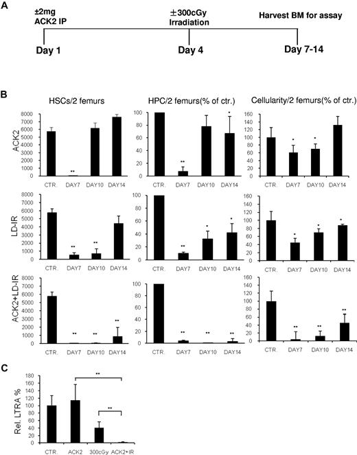 Figure 1. Effect of ACK2 with low-dose irradiation treatment on marrow HSPC. (A) Schematic of treatment schedule using 2 mg ACK2 (IP) ± LD-IR at 300 cGy. Control mice received 0.5 cc saline on day 1. (B) Marrow HSCs (lin− Sca-1+ KIT+ CD135−CD150+), HPCs (common myeloid progenitor lin− Sca-1−KIT+ CD34lowFcγRlow or, for the ACK2 treatment group at day 7, colony forming unit-granulocyte, monocyte) and cellularity at different times following treatment of F1 C57/BoyJ mice with ACK2, LD-IR, or ACK + LD-IR compared with control mice treated with saline. Data are either the number per 2 femurs or the percentage of the saline-treated cohort on the day of study; mean ± standard deviation (n = 3 to 4). *P < .05; **P < .01 versus control. (C) Relative LTRA was determined by a competitive repopulation assay. Marrow obtained at day 7 (Figure 1A) was studied from either control mice or mice conditioned with ACK2 (n = 4), LD-IR (n = 4), or ACK2 + LD-IR (n = 8). **P < .01.