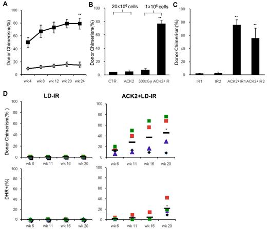 Figure 2. ACK2 treatment plus LD-IR allows long-term engraftment of syngeneic wild-type bone marrow cells and gene-modified donor HSCs. (A) Posttransplantation donor chimerism of F1 C57/BoyJ mice conditioned with LD-IR (300 cGy) or ACK2 + LD-IR prior to transplantation with 1 × 106 freshly isolated C57 marrow cells. Recipients received 2 mg ACK2 or saline on day 1 and LD-IR on day 4, followed by transplantation on day 7. Peripheral blood was sampled at different times posttransplantation. Solid squares, ACK2 + LD-IR cohort; gray diamonds, LD-IR cohort. Donor cell chimerism at 24 weeks in ACK2 + LD-IR cohort was 79.3 ± 8.3% versus 15.3 ± 4.6% in LD-IR cohort (**P < .01, n = 4). (B) Posttransplant donor chimerism of F1 C57/BoyJ mice conditioned with saline, ACK2 alone, LD-IR (300 cGy), or ACK2 + LD-IR prior to transplantation with 20 × 106 (saline or ACK2) or 1 × 106 (LD-IR or ACK2 + IR) freshly isolated C57 marrow cells. PB leukocyte donor chimerism was determined 24 weeks posttransplantation. Bars represent the mean donor cell CD45.2 chimerism. **P < .01 (n = 4 in each group). (C) Secondarily transplanted donor HSCs from ACK2-treated mice give rise to long-term engraftment in secondary recipients. Marrow from 2 primary recipients in each cohort shown in Figure 2A was harvested at 24 weeks posttransplantation and for each primary recipient, 1 × 106 cells were transplanted into each of 4 lethally irradiated F1 C57/BoyJ mice. Donor chimerism in primary recipients was 3.4% and 5.2% for the 300 cGy mice and 71.2% and 69.3% for the ACK2 + LD-IR mice. Secondary recipients were analyzed for PB leukocyte donor chimerism 18 weeks after transplantation (mean ± standard deviation is shown). **P < .01 compared with 300 cGy cohort. One of 2 independent experiments is shown. (D) Conditioning with ACK2 + LD-IR prior to transplantation of lentivirus-tranduced cells in murine X-CGD. Lineage-negative BM cells from C57 X-CGD mice were purified using a MACS Separation System, then transduced in vitro with vesicular stomatitis virus–glycoprotein–pseudotyped CL20i4r-EF1a-gp91-OPT lentiviral vector overnight in the presence of interleukin-6 and SCF. Recipient F1C57/BoyJ X-CGD mice were treated with LD-IR (300 cGy) alone or ACK2 + LD-IR as described in panel A prior to transplantation with 5 × 105 transduced X-CGD lin- BM cells. n = 4 in each group. PB leukocyte donor chimerism and neutrophil NADPH oxidase activity was assayed at various times after transplantation. Different colored symbols represent individual mice. *P < .02 compared with LD-IR cohort. One of 2 independent experiments is shown.
