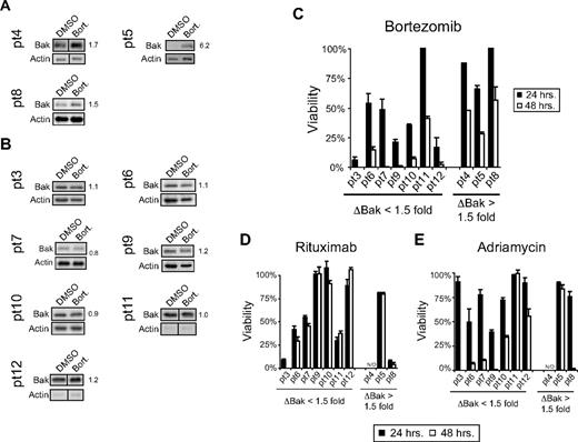 Figure 3. Increased Bak expression was observed in patient samples following bortezomib treatment. (A) A visible increase in Bak expression was observed in 3 of 10 primary B-NHL patient samples treated ex vivo with bortezomib (5-10nM). This visible increase in Bak expression correlated with a fold change in Bak of ≥ 1.5-fold. Individual fold change values were normalized to Actin and are indicated next to Bak Western blots. (B) Seven of 10 patient samples treated ex vivo with bortezomib had no visible change in Bak expression. (C) Following the general pattern established by sensitive and resistant cells, primary B-NHL cells that demonstrated no induction of Bak (ΔBak < 1.5-fold) following bortezomib treatment died more rapidly than those in which Bak increased (ΔBak ≥ 1.5-fold). B-NHL cells derived from patient 11 did not follow this general pattern. No pattern of sensitivity to rituximab (D) or adriamycin (E) was noted when the same 10 patient samples were segregated based on the ability of bortezomib to induce Bak expression.