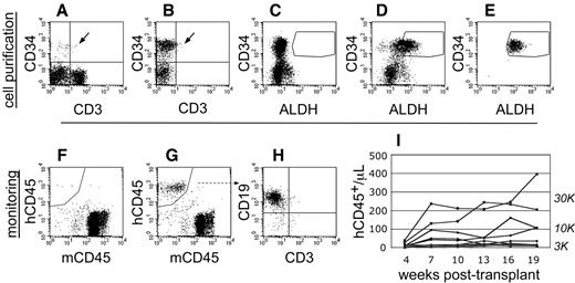 Figure 1. Cell purification and transplantation of NSγ mice. (A-E) NSγ mice were transplanted with ALDHbr CD34+ cells prepared from CB that had been depleted of mature, lineage-marked cells (Linneg CB). Total CB has a low content of CD34+ progenitors (A), and these progenitors are enriched in Linneg CB (B). Enzyme-inhibited Linneg cells (treated with diethyl aminobenzaldehyde) were used to establish baseline fluorescence for ALDH and to establish sorting gates to purify ALDHbr CD34+ cells (C). ALDHbr CD34+ cells were purified from lineage-depleted CB (D), and each cell preparation was purified twice before cell transplantation (E). (F-I) After transplantation, the human hematopoietic chimerism was monitored based on the number of human CD45+ cells detected per microliter of peripheral blood. Without human hematopoietic engraftment, the peripheral blood contained only murine CD45+ cells (F). With engraftment, human CD45+ cells are present within the peripheral blood (G). In short-term studies (≤ 10 weeks), the human CD45+ cells within the blood are predominantly CD19+ (H). Using these methods, a history of human hematopoietic engraftment could be established for each transplantation assay (I). One cohort of mice that were transplanted with progenitors derived from a single CB that were transplanted into multiple different mice at multiple different cell doses.