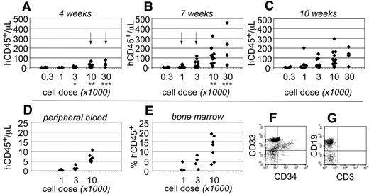 Figure 2. Short-term hematopoietic engraftment in NSγ mice. (A-C) Human hematopoietic engraftment was quantified based on the number of CD45+ cells detected per microliter of peripheral blood. Three panels present these data from 4 (A), 7 (B), and 10 weeks (C) after transplantation, respectively. At each time point, the data were stratified based on the transplant doses of ALDHbr CD34+ cells that each mouse received. Arrows indicate the first time point when CD45+ cells were observed for each cell dose. *Indicates a significant difference (P < .005) in chimerism between transplant doses of 3000 and 10 000 at 4 weeks after transplantation; ** and *** indicate significant increases (P < .05) in chimerism between 4 and 7 weeks for doses of 10 000 and 30 000 cells, respectively. The levels of chimerism observed 10 weeks after transplantation were not significantly different from those observed 7 weeks after transplantation. (D-G) In one cohort of 14 mice, the hematopoietic chimerism to the blood was compared with engraftment to the bone marrow 4 weeks after transplantation. Human CD45+ cells were detected within the peripheral blood at the highest transplant doses (D) and in the bone marrow (E). In panels F and G, total bone marrow cells were first gated to examine human CD45+ cells that did not express murine CD45 (not shown). Those cells included CD33+ myeloid cells (F), CD34+ progenitors (F), and human CD19+ B cells (G). CD3+ T cells were not detected (G).