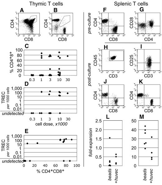Figure 5. Human T-cell development in NSγ mice. (A-E) The development of human T cells was characterized in NSγ thymuses. In some thymuses, the human CD45+ CD3+ T cells included CD4+ CD8+ “double-positive” T-cell progenitors (A), whereas other thymuses contained phenotypically mature “single-positive” T cells (B). High percentages of CD4+ CD8+ T-cell progenitors were observed in thymuses across a range of transplant cell doses (C). Similarly, high copy numbers of human TRECs could be detected in thymus cell preparations across a range of transplant cell doses (D). In 8 of 9 mice that expressed TRECs, at least 25% of the CD3+ cells were CD4+ CD8+ T-cell progenitors (E). (F-M) Human CD3+ T cells isolated from NSγ spleens were tested for their responsiveness to mitogens. In spleen cell preparations, the human CD3+ cells had matured into CD4+ or CD8+ “single-positive” T cells, which expressed CD28 (F-G). The T cells were costimulated using immobilized antibodies directed against CD3 and CD28 and cultured with (n = 6) or without irradiated HUVEC cells (20 Gy; n = 4). After 7 days, human CD45+ CD3+ T cells were present in the cultures, and expressed the CD25 (IL-2Rα) activation antigen (H-I). Both CD4+ and CD8+ were detected; however, most frequently, there was a net loss of T cells in the cultures (J,L). Cultures established CD3+ CB T cells contained similar CD4+ and CD8+ cells, but the numbers of cells increased dramatically in 7 days (K,M).