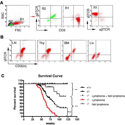 Figure 2. Development γδ T-cell lymphoma in Id3−/− mice. (A-B) Flow cytometric analysis of the lymphomatous cells in a representative Id3−/− mouse (mouse no. 44). The lymphomatous cells are γδTCR+CD3+, but αβTCR− (A, R1); The gated R2 area represents the non-γδ T cells. γδ T-cell lymphoma cells (R1) were seen in the lymph nodes (LN), thymus (thy), bone marrow (BM), and liver (liv) of Id3−/− mice (B). (C) The survival curve of Id3−/− mice. Control mice (Id3+/+ and +/−, n = 50 mice); Id3−/− mice with lymphoma (−/− lymphoma, n = 38 mice); Id3−/− mice without lymphoma (−/− not lymphoma, n = 104 mice). ** P < .01.