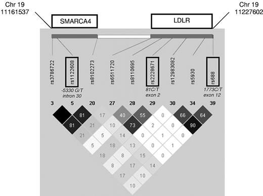 Figure 1. Linkage disequilibrium structure of the genomic region surrounding SNPs rs1122608, rs2228671, and rs688. Displayed are the HapMap data (r2)33 of the SMARCA4-LDLR locus. Part of SNPs, included in high linkage disequilibrium blocks, have been omitted.