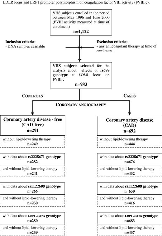 Figure 2. Verona Heart Study (VHS) design for the analysis of the effects of polymorphisms at LDLR locus and LRP1 promoter polymorphism on FVIII:c.