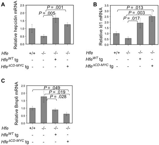 Figure 2. Analysis of BMP signaling in Hfe−/− mice expressing hepatocyte-specific Hfe transgenes. Total mRNA was harvested from wild-type (WT), Hfe−/−, Hfe−/− Hfe-full length transgene (HfeWT) or Hfe−/− Hfe-cMyc transgenic (HfeΔCD−MYC tg) livers (n = 5 for each genotype) and hepcidin (Hamp; A), Id1 (B), and Bmp6 (C) mRNA was assessed by quantitative real-time PCR, normalized to β-actin (Actb), and then expressed relative to the WT value whose mean was defined as 1.0. Ratios are expressed ± SEM.