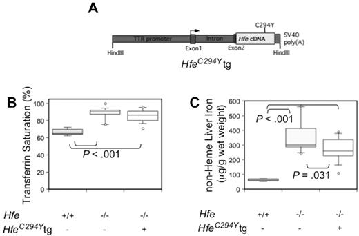 Figure 3. Phenotypic analysis of mice expressing a mutated (C294Y) hepatocyte-specific Hfe transgene (HfeC294Y tg). Schematic drawing of the HfeC294Y tg construct (A). (B-C) Box plots depicting the measurement of serum transferrin saturation (%; B), and non-heme liver iron (μg/g wet weight; C). WT (n = 7), Hfe−/− (n = 13) and Hfe−/− HfeC294Y tg (n = 16), are depicted in box plots as in Figure 1.