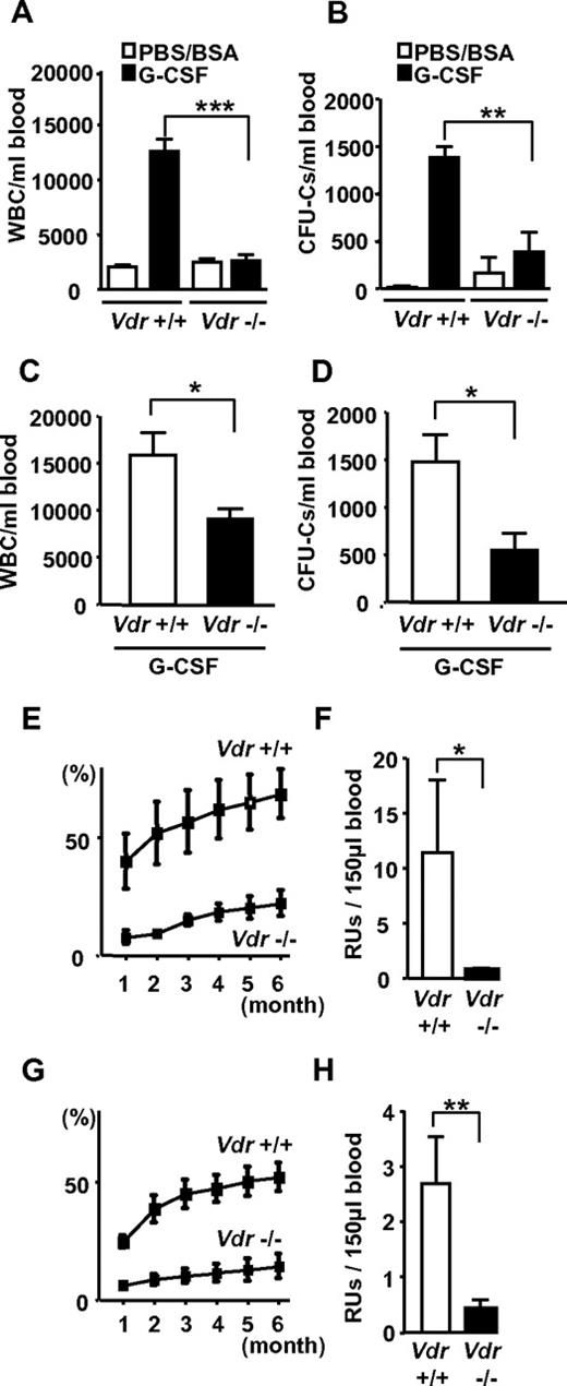 Figure 1. Impaired G-CSF–induced mobilization in Vdr−/− mice. G-CSF–induced mobilization. Peripheral blood leukocyte count (A) and CFU-Cs (B) in mice fed with a normal diet (n = 4-7), and leukocyte count (C) and CFU-Cs (D) in mice fed with a high-calcium diet (n = 7-9). Percent of CD45.2 in the competitive reconstitution of mobilized blood (E) and calculated RU at 6 months (F) in mice fed with a normal diet (n = 5), and mobilized blood (G) and calculated RU at 6 months (H) in mice fed with a high-calcium diet (n = 6). *P < .05; **P < .01; ***P < .001.