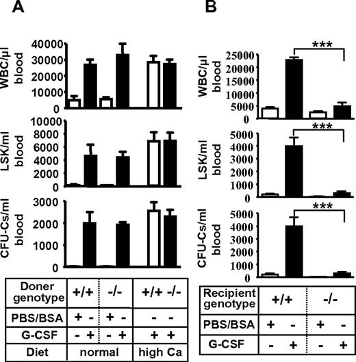Figure 2. Poor mobilization due to microenvironment defect in Vdr−/− mice. (A) Intact mobilization of Vdr−/− hematopoietic cells. CD45.1-congenic wild-type mice reconstituted with Vdr+/+ or Vdr−/− BM were treated with control PBS/BSA (n = 3) or G-CSF (n = 5–6), and the number of circulating CFU-Cs was assessed. (B) Poor mobilization in Vdr−/− microenvironment. Vdr+/+ and Vdr−/− littermates (high-calcium diet) reconstituted with CD45.1 wild-type (WT) BM were treated with control PBS/BSA or G-CSF, and the number of circulating CFU-Cs was assessed (n = 5-6). ***P < .001.
