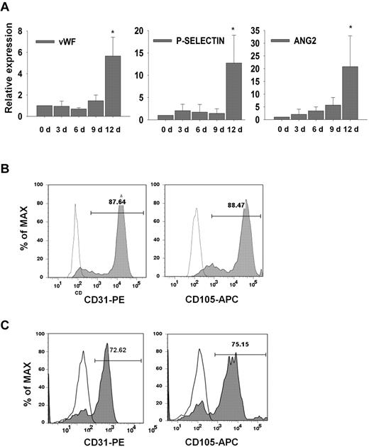 Figure 3. Expression of mature endothelial cell markers. (A) Relative expression of endothelial cell marker genes (VWF, P-SELECTIN, and ANG2). The samples were obtained at 3, 6, 9, 12 days of culture. The values are the mean ± SD of 3 independent experiments. A P value < .05 was considered to be statistically significant (*P < .05; n = 3). (B-C) Flow cytometric analysis for the endothelial markers CD31 and CD105 in hESC-derived (B) and hiPSC-derived (C) ECs.