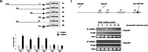 Figure 1. C/EBPα-p42 regulates miR-34a during granulopoiesis. (A-C) Hematopoietic CD34+ cells were cultured as discussed in “Cell cultures.” Total RNA was isolated at different time points and analyzed by quantitative real-time RT-PCR with oligos for miR-34a (A), miR-223 (B), and miR-181a (C). Data are represented as mean ± SD from 3 independent experiments. *P < .05. (D) NB4 cells were induced with retinoic acid (1μM) for respective time points. Total RNA was analyzed by quantitative real-time RT-PCR with oligos for miR-34a. Data are represented as mean ± SD from 3 independent experiments. *P < .05. (E) K562-C/EBPα-p42-ER and K562-ER cells were induced with β-estradiol (5μM) for respective time points. Total RNA was analyzed by quantitative real-time RT-PCR with oligos for miR-34a. Data are represented as mean ± SD from 3 independent experiments. *P < .05. (F) K562-C/EBPα-p30-ER and K562-C/EBPα-BRM2-ER cells were induced with β-estradiol (5μM) for respective time points. Total RNA was analyzed by quantitative real-time RT-PCR with oligos for miR-34a. Data are represented as mean ± SD from 3 independent experiments. (G) Schematic representation of the miR-34a genomic region and phylogenic conservation of genomic region in the first intron of miR-34a in humans, mice, and rats. The conserved region is shown by sequences in gray box, and the C/EBPα site is shown in bold letters. (H) Luciferase reporter assays were performed in Kasumi-6 cells using indicated reporters and C/EBPα. Cells were transfected with corresponding firefly luciferase vectors (miR-34 Promoter constructs #1 to #6, Renilla luciferase reporter construct as control vector, and C/EBPα-pCDNA3 vector. Luciferase activity was measured 24 hours later. Bars represent promoter activity for the corresponding vectors. Data are represented as mean ± SD from 3 independent experiments. *P < .05. (I) Chromatin derived from K562-C/EBPα-p42-ER cells was immunoprecipitated with anti-C/EBPα and IgG antibodies. Recovered DNA was PCR amplified with primers specific for C/EBPα-binding amplicon (oligos 1) and the nonbinding amplicon (oligos 2).