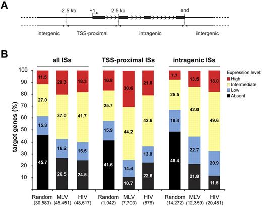 Figure 3. Association between retroviral integration and gene activity in CD34+ hematopoietic progenitors. (A) MLV, HIV, and random integration sites were annotated as TSS-proximal when located at ± 2.5 kb from a TSS (+1), intragenic when inside a gene at > 2.5 kb from the TSS, and intergenic in any other case. Black bars represent exons of a prototype gene. Arrowheads indicate the direction of transcription. (B) Histogram distribution of expression values from an Affymetrix microarray (HG-U133 + 2.0) analysis of RNA obtained from cytokine-stimulated CD34+ cells. Affymetrix probe sets were reannotated with custom Chip Definition Files to obtain a single expression value for each gene. Expression levels were divided into 4 classes: absent, low (below the 25th percentile of the normalized distribution), intermediate (between the 25th and the 75th percentile), and high (above the 75th percentile). The percentage distribution of the expression values of genes targeted by all integration/random sites (all ISs), TSS-proximal sites (TSS-proximal ISs), and intragenic sites (intragenic ISs) are shown by the left, middle, or right group of bars, respectively. The number of genes belonging to each category is indicated in parentheses under the corresponding bar.