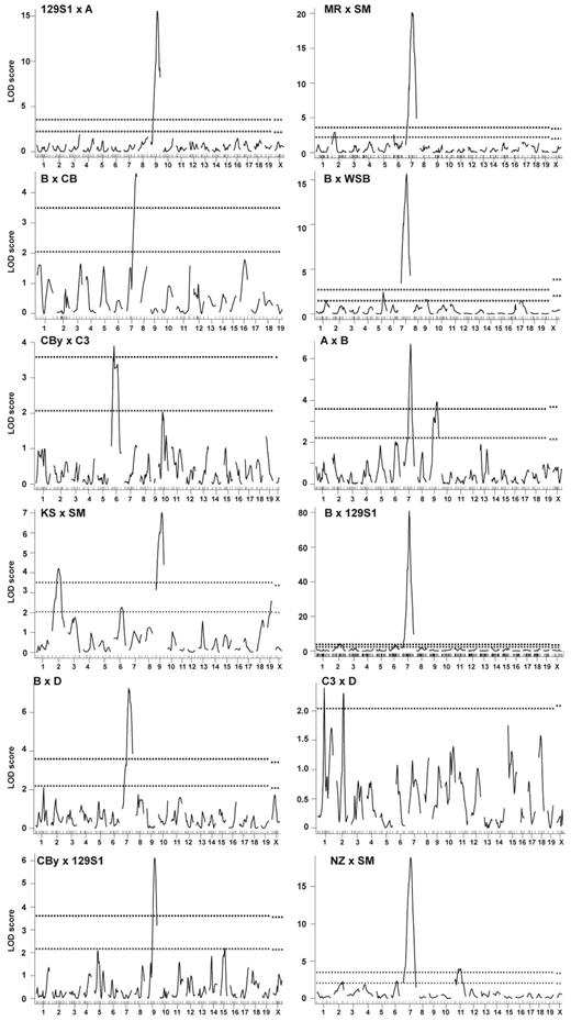 Figure 1. Genome-wide scans for CHCM. Main effect QTL are shown for single-locus genome-wide scans with sex as an additive covariate in the 12 crosses indicated (top left of each panel). Cross abbreviations are defined in Table 1. Horizontal dashed lines on each panel represent significant (P = .05, top line) and suggestive (P = .63, bottom line) LOD scores as determined by 1000 permutations. For C3xD, the single dashed line represents the suggestive level, as no significant QTL were identified in this cross. x-axis, chromosomes 1 through X with the relative spacing representative of the relative length of each chromosome and marker locations shown by tick marks. y-axis, LOD score.