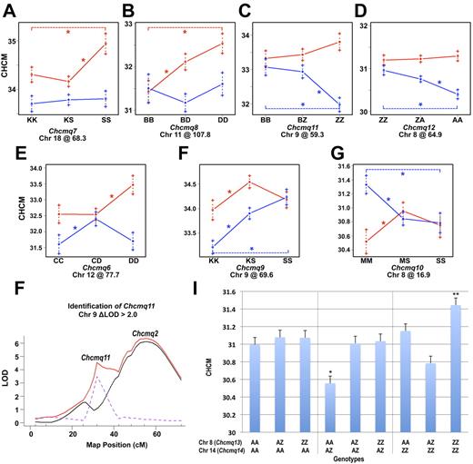 Figure 2. Sex-specific and interacting QTL. (A-G) Allele effects determined at the peak marker for 7 sex-specific QTL showing a ΔLOD > 2 between sex-interactive and sex-additive LOD scores. Female effects are shown in red, males in blue. The 3 possible genotypes for each QTL are given on the ordinate, with the QTL name and Chr position below. CHCM values are shown on the y-axis. Alleles: K, C57BLKS/J; S, SM/J; B, C57BL/6J; D, DBA/2J; Z, 129S1/SvImJ; A, A/J; M, MRL/MpJ; C, C3H/HeJ; *P < .05. (H) Chcmq11 was detected in cross CByx129SI as a significant “shoulder peak” closely linked to Chcmq2 on Chr 9 with a ΔLOD (dotted purple line) > 2 between the sex-interactive (solid red line) and sex-additive (solid black line). x-axis, Chr position on Chr9 in cM. y-axis, LOD score. (I) Pairwise scans detected 2 additional QTL, Chcmq13 and Chcmq14, showing significant gene interaction (epistasis). The effects of gene interaction predicted by multiple regression are shown for the 9 possible genotypes for Chcmq14 and Chcmq13, indicated at the bottom. Complex allele-specific interactions are apparent. Alleles: A, A/J; Z, 129S1/SvImJ. y-axis, CHCM value. *P < .001 compared with AZ and ZZ Chcmq13 genotypes with heterozygosity at the Chcmq14 locus. **P < .001 vs heterozygosity for Chcmq13 with homozygosity for 129S1 alleles at Chcmq14. No other significant differences.