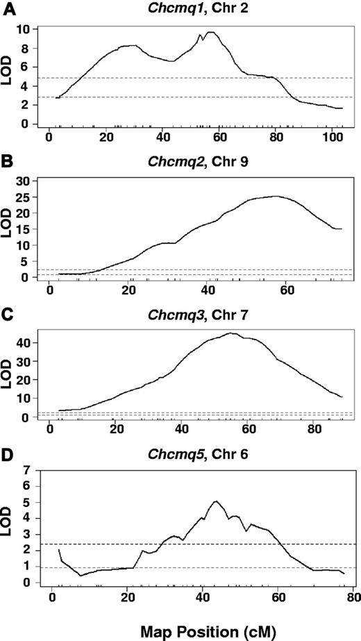 Figure 3. Combined cross analysis. Ninety-five percent confidence intervals for (A) Chcmq1, (B) Chcmq2, (C) Chcmq3, and (D) Chcmq5 following combined cross analysis are shown. x-axis, map position in cM. y-axis, LOD score. Dashed lines denote significant (P = .05, top lines) and suggestive (P = .63, bottom lines) LOD scores as determined by permutation testing.