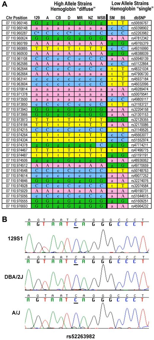 Figure 5. Haplotype blocks at Hbb-b1. (A) The high allele contributing strains from crosses in which Chcmq3 was detected are all hemoglobin diffuse and the low allele strains hemoglobin single. Lowercase indicates imputed loci. Asterisks indicate resequenced SNPs. (B) Resequencing of SNP rs52263982 in strains 129S1/SvImJ and DBA2 confirms they carry the C allele.