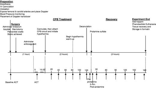 Figure 1. Pig cardiopulmonary bypass (CPB) model timeline. The arrows indicate the blood sampling times.