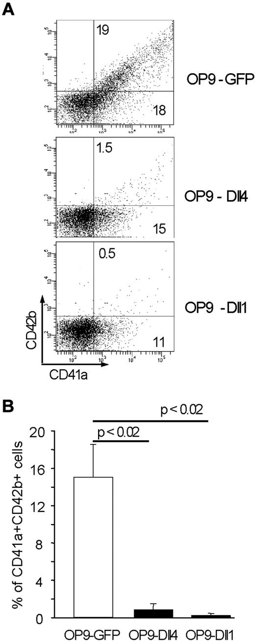 Figure 2. Membrane-bound Dll4 and Dll1 repress MK differentiation from CD34+ cells. (A) Human cord blood CD34+ cells were cultured for 10 days onto control OP9-GFP or OP9-huDll1 or OP9-huDll4 stroma in the presence of huSCF and huTPO before flow cytometric analyses (1 representative experiment). (D) Histogram representation of the % of CD41a+CD42b+ cells at day 10 of the culture. Mean ± SEM from 3 independent experiments.