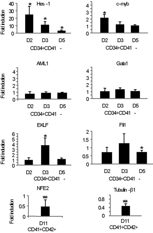 Figure 7. Dll4/Notch inhibits a MK transcriptional program in human CD34+CD41− cells. Analysis by quantitative RT-PCR of the expression levels of various genes in sorted CD34+CD41− cells cultured onto control or Dll4Fc-coated plated harvested at days 2, 3, and 5 and in sorted CD41+CD42+ cells cultured onto control or Dll4-Fc-coated, plated, and harvested at day 11. mRNA expression of each gene was normalized to that of HPRT mRNA and calibrated to the gene:HPRT ratio in HEL cells. For each gene, the relative expression levels in populations grown onto Dll4Fc are expressed as fold induction, compared with the levels (set to 1) detected in populations grown onto control plates. Results were obtained from 4 independent experiments. Sequences of the PCR primers are described in supplemental Table 1.