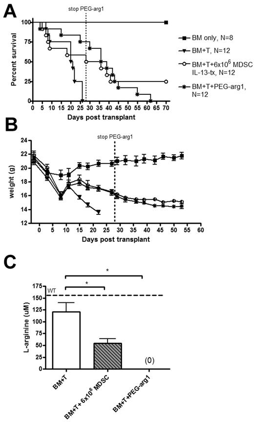 Figure 7. PEG-arg1 has similar protective effects as MDSC IL-13-tx. Lethally irradiated BALB/c mice were given 10 × 106 B6 BM cells alone or with 2 × 106 CD25-depleted T cells. In addition to this, cohorts were also given 6 × 106 MDSC IL-13 on day 0 or PEG-arg1 at 1 mg/mouse, 2 times weekly. (A) Kaplan-Meier survival curve. (B) Corresponding weights. P values for survival are BM + T versus 6 × 106 MDSCs, P = .03; BM + T versus PEG-arg1, P = .003. (C) L-Arginine was quantified using high performance liquid chromatography on day 14 from the peripheral blood of transplanted mice. WT B6 mice were used as controls. Data are representative of 2 replicate experiments with similar results.