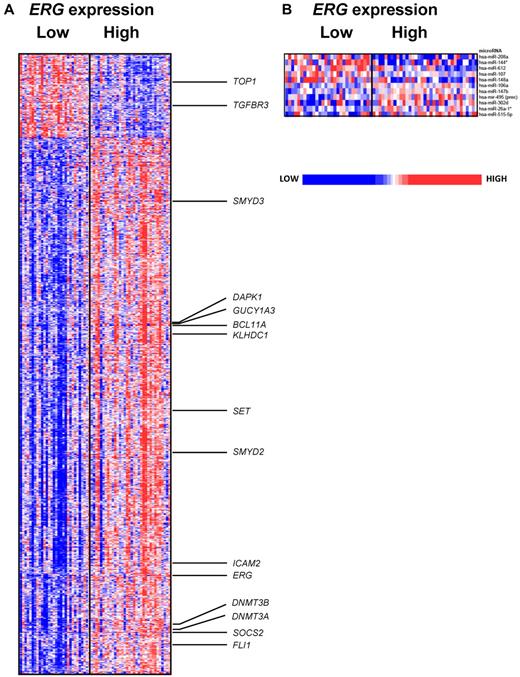 Figure 5. Heat maps of the ERG signatures. Derived gene expression (A) and microRNA expression signatures (B) associated with ERG expression in the group of CN-AML patients ≥ 60 years. Patients are ordered from left to right by increasing ERG expression. Expression values of the gene probe sets (microRNA probes) are represented by color, with blue indicating expression less than and red indicating expression greater than the median value for the given gene probe set (microRNA probe). For the gene expression heat map, up- and down-regulated genes mentioned in the text are indicated.