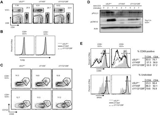 Figure 3. Conditional SLP-76 KI T cells show defects in TCR induced proximal signal transduction and functional responses in vitro. (A) Contour plots display CD4 and CD8 surface expression on YFP+ splenocytes from tamoxifen-treated cSLP-76+/−, cY145F, and cY112/128F mice (n > 5). (B) Surface expression of TCRβ on CD4+YFP+ and CD8+YFP+ gated splenocytes from cSLP-76+/−, cY145F, and cY112/128F mice (n = 5-7). (C) Contour plots show surface expression of CD44 and CD122 on CD4+YFP+ and CD8+YFP+ splenocytes from cSLP-76+/−, cY145, and cY112/128F mice. Numbers represent the percentage of cells in each gate. (D) YFP+ T cells from cSLP-76+/−, cY145, and cY112/128F mice were stimulated with anti-CD3 for the indicated times, lysed, and probed by Western blot with the indicated antibodies (n = 2). (E) CD69 up-regulation (top panel, n = 5-7) and BRSE dilution (bottom panel, n = 3-5) in splenocytes from cSLP+/−, cY145F, and cY112/128F mice were measured by flow cytometry following overnight and 72 hours stimulation with anti-CD3, respectively. Histograms are gated on CD8+YFP+ and CD4+YFP+ lymphocytes. Numbers in the tables represent frequency of cells within the gates depicted in the histograms. Significant P values, when present comparing KI to WT are indicated by asterisks: ***P < .001, **P = .001-.01, *P = .01-.05.