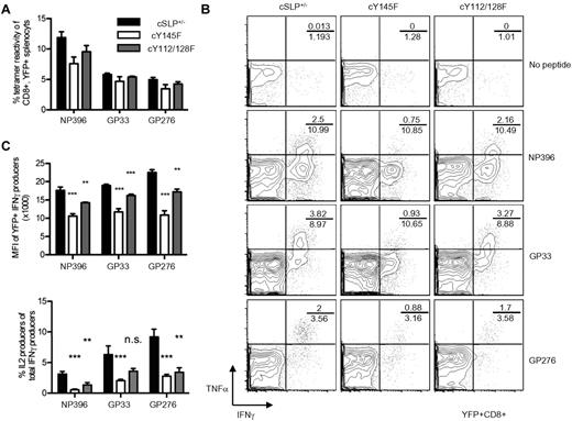 Figure 4. LCMV-infected cSLP-76 KI T cells show defective effector responses in vitro. Mice were infected with LCMV Armstrong 7-10 days following tamoxifen treatment. (A) Tetramer reactivity among splenocytes from day 8 infected cSLP+/−, cY145F, and cY112/128F mice is represented as a percent of CD8+YFP+ lymphocytes (representative of 2 independent experiments each with 5 mice per group). (B-C) Splenocytes from day 8 infected cSLP+/−, cY145F, and cY112/128F mice were incubated in vitro with the indicated peptides and analyzed by flow cytometry. (B) Representative contour plots depict IFNγ and TNFα in YFP+CD8+ lymphocytes (representative of 2 independent experiments each with 5 mice per group). Numbers indicate the percentage of CD8+, TNFα IFNγ double producers over the percentage of total CD8+ IFNγ producers. (C) MFI of IFNγ (top panel) and IL-2 coproduction (bottom panel) were determined among CD8+YFP+ IFNγ producing splenocytes (representative of 2 independent experiments each with 5 mice per group). Bar graphs show averages ± SEM. Significant P values, when present comparing KI to WT are indicated by asterisks: ***P < .001, **P = .001-.01, *P = .01-.05.