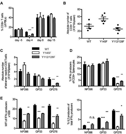Figure 2. SLP-76 KI mice have intact CD8+ T-cell expansion but defective effector function in response to acute LCMV infection. (A) PBLs were isolated from serial bleeds from WT and KI mice at the indicated time points before and after LCMV infection and were analyzed by flow cytometry. CD8+ T cells (average ± SEM) are represented as a percent of the live lymphocyte gate (data are representative of 3 independent experiments each with 3-5 mice per group). Absolute numbers of (B) CD8+ (average ± SEM) and (C) tetramer-reactive (average ± SEM) splenocytes were calculated from day 8 infected WT and KI mice (representative of 2 independent experiments each with 5 mice per group). (D-F) Splenocytes from day 8 infected WT, Y145F, and Y112/128F KI mice were cultured in vitro with the indicated stimuli and analyzed by flow cytometry (representative of 2 independent experiments each with 5 mice per group). (D) Percent of CD8+ cells that produced IFNγ was calculated (average ± SEM). (E) The MFI of IFNγ staining in all CD8+ T cells producing IFNγ is shown (average ± SEM; left panel) and the percentage of total IFNγ producers that also produced IL-2 is shown (right panel). (F) Representative contour plots show IFNγ and TNFα expression in CD8+ splenocytes. Numbers indicate the percentage of CD8+, TNFα IFNγ double producers over the percentage of total CD8+ IFNγ producers (representative of 2 independent experiments each with 5 mice per group). Significant P values, when present, comparing KI to WT are indicated by asterisks: ***P < .001, **P = .001-.01, *P = .01-.05.