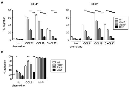 Figure 2. Rac1 and Rac2 are required for chemokine-induced chemotaxis and adhesion of T cells. (A) Graph shows mean ± SEM percentage migration of T cells in a Transwell assay in response to CCL21, CCL19, CXCL12, or in the absence of chemokine. (B) Graph shows mean ± SEM percentage adhesion of T cells of the indicated genotypes to immobilized ICAM-1 in response to CCL21, Mn2+, or no stimulus. Data are from 4 independent experiments. *P < .05; **P < .01; ***P < .001.