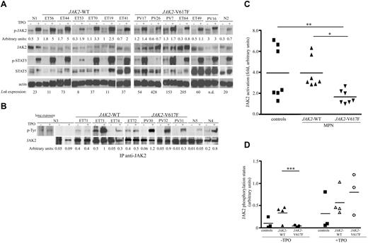 Figure 3. Activation of JAK/STAT signaling pathways in MPN platelets. (A) Total platelet lysates from MPN patients (JAK2-WT and V617F) and healthy donors (N) were stimulated (+) or not (−) for 10 minutes with TPO (100 ng/mL) and then subjected to immunoblot analysis with anti-phospho-JAK2 (p-JAK2) and anti-phospho-STAT5 (p-STAT5) antibodies. Total JAK2 and STAT5 levels were analyzed with anti-JAK2 and anti-STAT5 antibodies. Blot quantification was performed with multi Gauge software (Fujifilm). Numbers under the phospho-JAK2 blots show the ratios (arbitrary units) of phospho-JAK2/total JAK2. Actin blot is shown as loading control; numbers under this blot denote the mRNA expression level of LNK for each patient. (B) Platelet lysates from healthy donors (N), JAK2-WT and V617F MPN patients were stimulated with or without TPO for 10 minutes and immunoprecipitated with anti-JAK2 antibodies. Western blot analysis with anti-phosphotyrosine (anti-p-Tyr) antibodies allowed identification of phosphorylated JAK2 protein (top panel). Total JAK2 protein expression is shown (bottom panel). Numbers under the p-Tyr blots show the ratios (arbitrary units) of phospho-JAK2/total JAK2. ET, essential thrombocythemia; PV, polycythemia vera; n.d., not done. (C) Graphic representation of JAK2-fold activation. Data represent the normalized ratios of TPO-induced phospho-JAK2/nonstimulated phospho-JAK2 from (A). Statistical significance was determined using the Student t test: *P = .0025; **P = .0386. (D) Graphic representation of JAK2 phosphorylation status, data represent the normalized ratios of p-TyrJAK2/total JAK2 (arbitrary units) from panel B, ***P = .047.