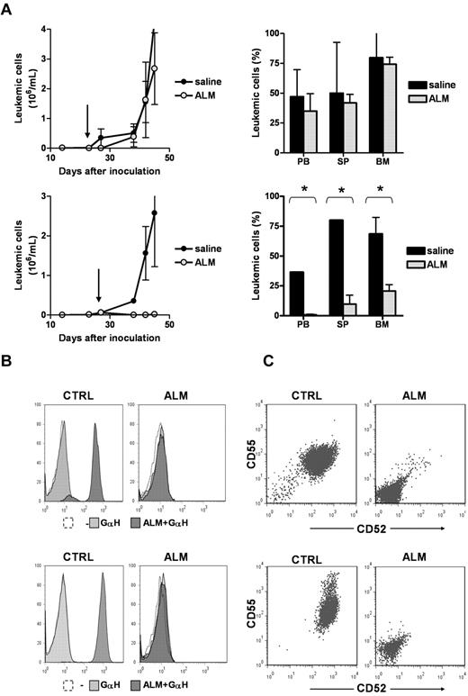 Figure 2. In vivo activity of ALM and selection of CD52− GPI-defective cells. Animals were inoculated with primary leukemic cells from patient 24 (top) or patient 15 (bottom). Starting from the time points indicated by the arrows, animals received 250 μg ALM or saline daily for 5 days per week for a total of 3 weeks. For each case, 2 independent experiments were performed with 3 treated animals and 3 control animals per group. Data are mean ±SD of all measurements. (A) Leukemic cell counts in peripheral blood (PB) during treatment, and leukemic cell content of PB, spleen (SP), and bone marrow (BM) at the experimental endpoint. *P < .01 by 2-tailed Student t test. (B) Flow cytometric analysis of cells recovered from BM. Cells recovered from treated animals did not stain with PE-conjugated GaH, indicating that ALM was not present on the surface (light gray histograms). Preincubation of the cells with ALM before GaH staining did not increase fluorescence, demonstrating the absence of CD52 on the surface (dark gray histograms). Cells recovered from control animals stained with GaH after preincubation with ALM, illustrating normal expression of CD52. Representative histograms are shown. (C) Cells recovered from the bone marrow of treated animals showed concurrent absence of CD52 and CD55 in both cases, illustrating a GPI-defective phenotype.