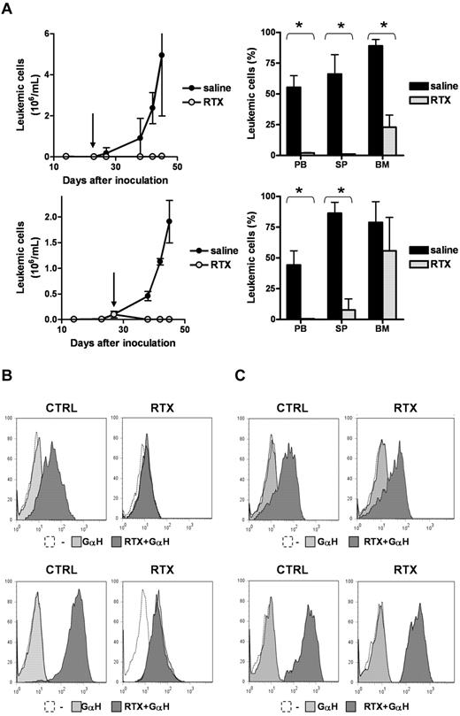Figure 3. In vivo activity of RTX and persistence of cells with a reversible CD20low phenotype. Animals were inoculated with primary leukemic cells from patient 24 (top) or patient 15 (bottom). Starting from the time points indicated by the arrows, animals received 250 μg rituximab or saline daily for 5 days per week for a total of 3 weeks. For each case, 2 independent experiments were performed with 3 treated animals and 3 control animals per group. Data are mean ±SD of all measurements. (A) Leukemic cell counts in peripheral blood (PB) during treatment, and leukemic cell content of PB, spleen (SP), and bone marrow (BM) at the experimental endpoint. *P < .01 by 2-tailed Student t test. (B) Flow cytometric analysis of cells recovered from BM. Cells recovered from treated animals slightly stained with PE-conjugated GaH, indicating that low levels of RTX were present on the surface (light gray histograms). Preincubation of the cells with RTX before GaH staining did not increase fluorescence, demonstrating absence of free CD20 epitopes on the surface and hence loss of surface C20 (dark gray histograms). Cells recovered from control animals stained with GaH only after preincubation with RTX, illustrating normal expression of CD20. Representative histograms are shown. (C) Expression of CD20 was restored after passage through secondary recipients.