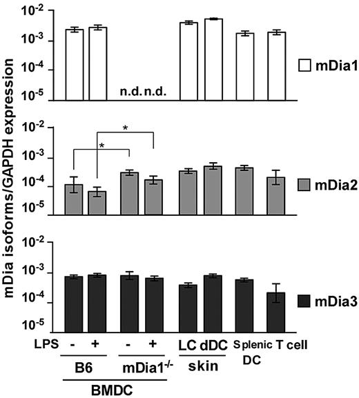 Figure 1. mRNA expression profiles of mDia isoforms in DCs. The mRNA expression profiles of mDia isoforms, mDia1, mDia2, and mDia3, in BMDCs from B6 and mDia1−/− mice stimulated with (+) or without (−) LPS, and LCs, dermal DCs, splenic DCs, and CD4+ T cells from B6 mice. Data are expressed as the amounts of mRNA relative to that of glyceraldehyde-3-phosphate dehydrogenase (GAPDH). Data are mean ± SD (n = 3) of 3 independent experiments. n.d. indicates not dectected. *P < .05 vs corresponding B6 mice.