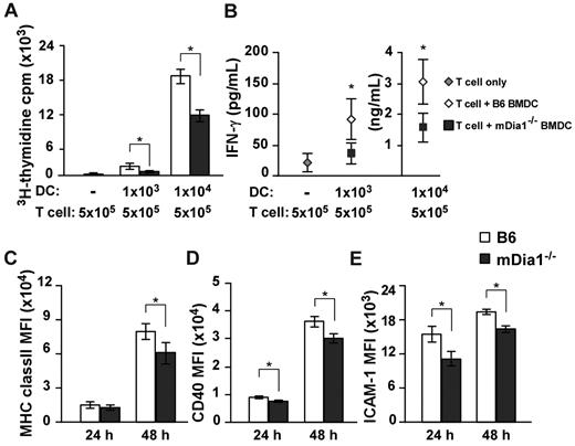Figure 5. Impaired T cell-stimulatory capacity of DCs resulting from mDia1 deficiency. (A-B) Alloreactive CD4+ T cells were purified from BALB/c mice and stimulated with or without B6 or mDia1−/− BMDCs in 200 μL of cRPMI for 72 hours. The numbers of each cell subset are shown in the figure. 3H-Thymidine incorporation in triplicate wells as an indicator of T-cell proliferation (A) and levels of IFN-γ in the culture supernatant (B) were measured. (C-E) The expression levels of MHC class II (C), CD40 (D), and CD54 (ICAM-1) (E) of BMDCs at 24 hours and 48 hours. Data are mean ± SD and are representative of 3 independent experiments. *P < .05 vs corresponding B6 mice.