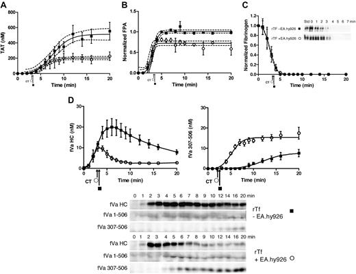Figure 2. rTf-activated CTI-inhibited blood with or without EA.hy926 cells. Bare tubes (■) and tubes containing a unilaminar layer of EA.hy926 (○) were used to measure (A) TAT formation over time after CTI-inhibited fresh blood activation with 5 pM rTf, (B) FPA production, (C) normalized fibrinogen consumption with a representative Western blot of a single subject and (D) fVa generation (left) and inactivation (right) as quantified by densitometry of Western blot analysis using α-fV no. 17 HC antibody showing fVa HC and fVa307-506 HC cleavage product (bottom). FVa1-506 HC cleavage is also shown but was not quantified. Clot times in all experiments are indicated (■ = 3.0 ± 0.17 minutes and ○ = 2.9 ± 0.14 minutes). Dashed line in a and b represents 95% confidence limits.