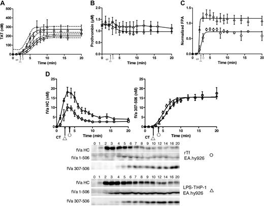 Figure 5. CTI-inhibited fresh blood activated with rTf or LPS-THP-1 in the presence EA.hy926. Tubes containing a unilaminar layer of EA.hy926 with rTf (○) or LPS-THP-1 (▵) activated whole blood were used to measure (A) TAT formation, (B) prothrombin consumption, (C) FPA production, and (D) fVa generation (left), inactivation (right), and representative Western blot. FVa1-506 HC cleavage is shown but not quantified. Clot times in all experiments are indicated (▵ = 2.3 ± 0.10 minutes and ○ = 2.9 ± 0.14 minutes). Dashed line in a and c represents 95% confidence limits.