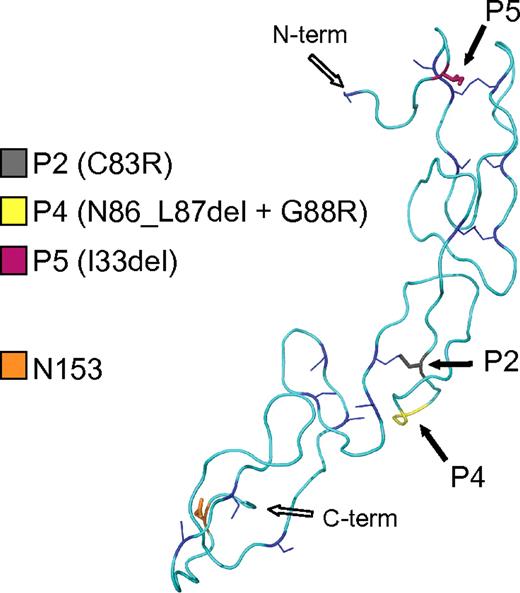 Figure 1. CD40 mutations causing HIGM. Structural model of the CD40 extracellular domain (amino acid 26 to 157) showing the positions of the P2, P4, and P5 mutations (solid black arrows) and the position of 1 of the 2 N-glycosylation sites (orange box). The cysteine residues and the conserved disulphide bridges are shown in blue.