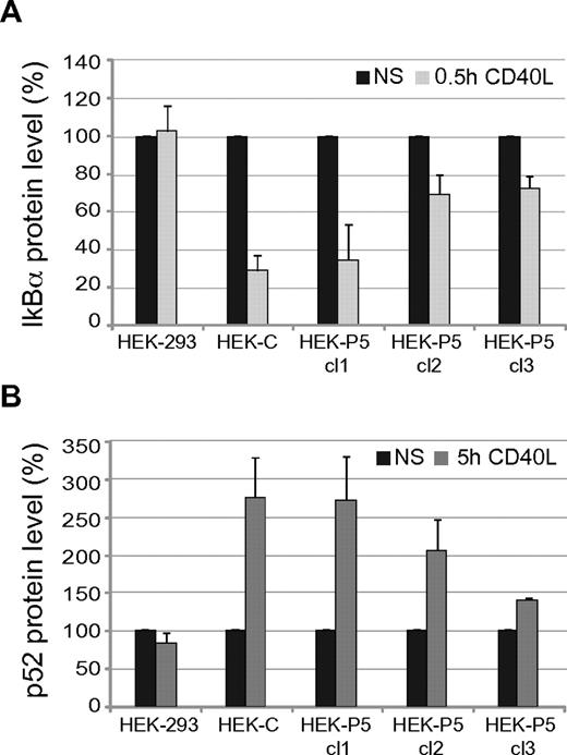 Figure 7. IκBα degradation and p52 production in P5 mutant. Graphs showing IκBα degradation (panel A) and p52 formation (panel B) after stimulation with CD40L of HEK-293 cells (HEK-293), a clone expressing control CD40 (HEK-C), and 3 clones showing decreasing expression of P5 mutant (HEK-P5 cl1, cl2, cl3). Stimulation induced IκBα degradation and p52 formation only in CD40 expressing cells depending on CD40 surface expression levels. The protein expression values were determined by densitometric analysis of immunoblots from 2 independent experiments and were expressed as percentages (means ± SD) of the values in nonstimulated cells (NS).