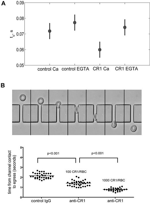 Figure 3. Ligation of CR1 increases RBC membrane deformability and depends on extracellular Ca++. (A) CR1-mediated increase in membrane deformability depends on Ca++. Freshly isolated RBCs were incubated with either control Ab or anti-CR1 mAb in the presence of Ca++ and Mg++ (Ca++) or Mg++-EGTA (EGTA) for 10 minutes at RT. RBCs were washed, and 30 cells were analyzed for each condition by LOT. The recoil time (tc) of CR1-ligated RBCs (60 ± 2 milliseconds) was significantly shorter (P < .001) than the recoil time of control RBCs (72 ± 3 milliseconds). The bars represent 95% confidence interval. (B) Ligation of RBC CR1 decreases the time required for RBC to pass through microchannels. Sequential images (3 frames/s) of a RBC entering the microfluidic device are shown in the top panel. The extent of the decrease in the time required for RBCs to pass through the microchannels depends directly on the number of CR1 molecules on the surface of RBCs. Each dot in the graph represents a RBC. These results are representative of 5 independent experiments using different anti-CR1 Abs and different high and low CR1 donors.