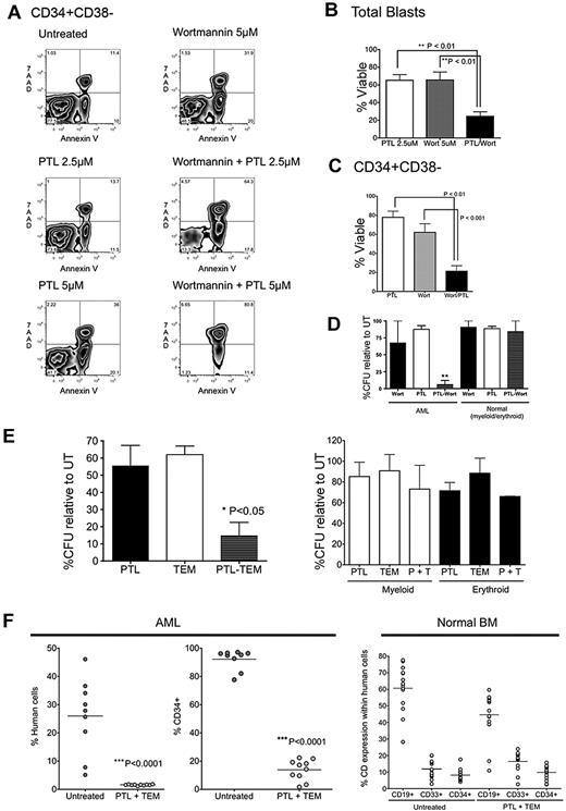 Figure 3. Treatment with PI3K/mTOR inhibitors synergizes with PTL's antileukemia activity. Primary AML samples were treated for 18 hours with either 5μM wortmannin, 2.5μM PTL, or 5μM PTL, alone or in combination. (A) Representative example of flow cytometric analysis of CD34+CD38− populations (AML6). Dot plots show 7AAD (y-axis) vs annexin V (x-axis). (B) Percentage of viable cells normalized to untreated control for total blasts (n = 5; AML2, AML6, AML8, AML10, AML11) and (C) CD34+CD38− populations (n = 5; AML2, AML6, AML8, AML10, AML11). Error bars represent SEM. (D) AML vs normal cells were treated with 5μM wortmannin alone, 2.5μM PTL alone, or in combination for 18 hours in suspension culture, followed by plating in methylcellulose culture. The percentage of colony-forming units (CFUs) was normalized to untreated control (n = 3; AML4, AML6, AML8). (E) Percentage of colonies relative to untreated control after treatment for 18 hours with either 2.5 μg/mL of temsirolimus (TEM), 5μM PTL, either alone or in combination. Primary AML specimens are shown in the left panel and primary normal marrow specimens are shown in the right panel (n = 3; AML4, AML6, AML8). (F) Percentage of engraftment of AML1 achieved in NOD/SCID mice receiving AML (left panel) or normal BM (right panel) cells after 18 hours of culture with or without 2.5 μg/mL TEM and 5μM PTL. Each symbol represents a single animal analyzed at 6 to 8 weeks after transplantation. Mean engraftment is indicated by the horizontal bars. Normal CD34+ (untreated vs PTL + TEM), P = .280. Normal CD33+ (untreated vs PTL + TEM), P = .084; normal CD19+ (untreated vs PTL + TEM), P = .009. “% human cells” indicates the percentage of total bone marrow cells positive for labeling with hCD45 antibody. “%CD34+” is gated on hCD45+ cells.