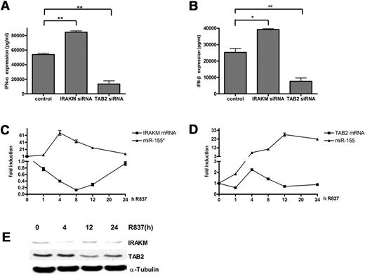Figure 5. IRAKM and TAB2 negatively correlate with miR-155* and miR-155, respectively. (A-B) IRAKM and TAB2 had opposite effects on IFN-α and IFN-β production in human PDCs upon TLR7 stimulation. Purified human PDCs transfected with siRNA control, IRAKM siRNA, or TAB2 siRNA were stimulated with R837 for 24 hours. IFN-α (A) and IFN-β (B) in the supernatants were measured by ELISA. The data were from 1 of 3 experiments with similar results, analyzed with 2-tailed Student t test. *P < .05, **P < .01. (C-D) miR-155* and miR-155 correlated negatively with their respective targets during TLR7 stimulation. Purified PDCs were stimulated with 5 μg/mL R837 over a 24-hour time course and harvested at the indicated time points. miR-155* (C) and miR-155 (D) were analyzed with the TaqMan MicroRNA Expression Assay and normalized to the RNU48 levels. IRAKM (C) and TAB2 (D) mRNA were detected by qRT-PCR and normalized to the RPL13a RNA levels. These graphs show the fold induction calculated by normalizing the expression values at different time points to the 0-hour values. The data are representative of at least 3 independent experiments, each based on a different PDC preparation. (E) Immunoblot kinetics analysis for IRAKM and TAB2. An α-tubulin immunoblot is shown for equal loading control. Data are representative of 2 independent experiments.