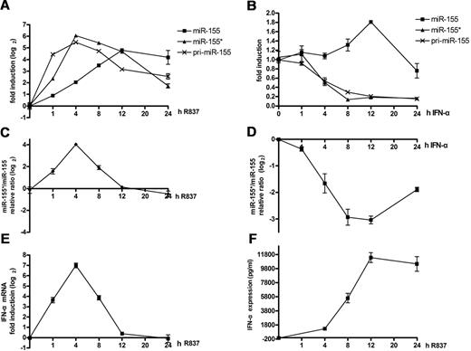 Figure 6. Different dynamic induction of miR-155* and miR-155 by TLR7 and IFNα. (A-B) Kinetic analysis of TLR7 and IFN-α induction of pri-miR-155, mature miR-155, and mature miR-155*. Human PDCs were stimulated with R837 (A) or IFN-α (B) over a 24-hour time course and harvested at the indicated time points. miR-155* and miR-155 were analyzed with the TaqMan MicroRNA Expression Assay and normalized to the RNU48 levels. Pri-miR-155 mRNA was detected by qRT-PCR and normalized to the RPL13a RNA levels. The graph shows the fold induction calculated by normalizing the relative expression values at different time points to the 0-hour values. (C-D) IFN-α and TLR ligands had opposite effects on the change in the ratios of miR-155* to miR-155. Purified PDCs were stimulated with either IFN-α or R837 over a 24-hour time course and harvested at the indicated time points. miR-155* and miR-155 were analyzed with the TaqMan MicroRNA Expression Assay and normalized to the RNU48 levels. The ratios of miR-155* to miR-155 were calculated. The graph shows the fold changes after the ratios at different time points were normalized to the 0-hour ratio. (E) IFN-α mRNAs from panel A were detected by qRT-PCR and normalized to RPL13a RNA levels. (F) IFN-α in the supernatant of panel A was detected by ELISA. The data are representative of at least 3 independent experiments, each based on a different PDC preparation.