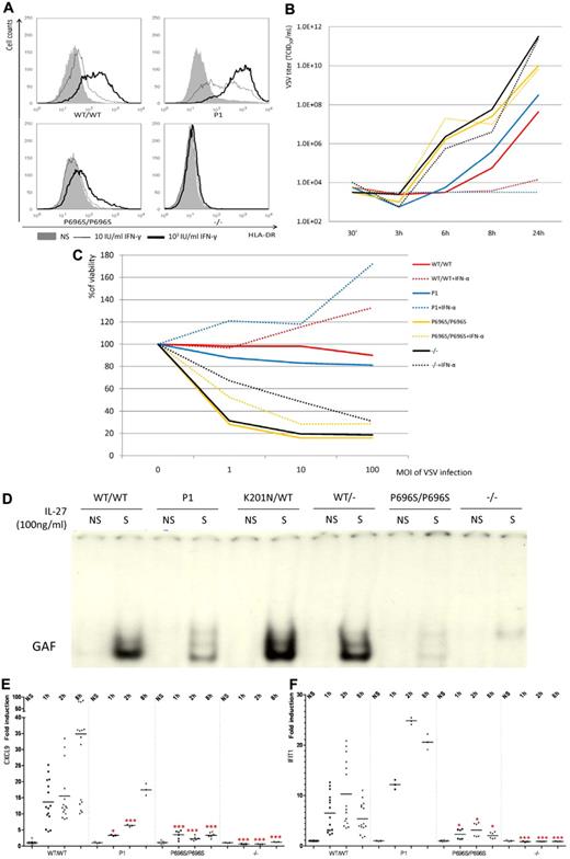 Figure 7. Delayed interferon responses, IL-27 and IFN-λ responses in the cells of P1. (A) HLA-DR induction in SV-40 fibroblasts of WT/WT, P1, P696S/P696S, and −/− subjects after 48 hours of stimulation with the indicated dose of IFN-γ. HLA-DR was quantified by FACS analysis. Solid area represents no stimulation; thin solid line, 10 IU/mL IFN-γ; and thick solid line, 103 IU/mL IFN-γ. (B) VSV viral titer after VSV challenge. The SV40-fibroblasts of P1 controlled VSV replication after prior treatment of IFN-α for 18 hours. Bold line indicates without IFN-α; and dashed line, with 105 IU/mL IFN-α. (C) Cell viability after VSV challenge. The viability of SV40-fibroblasts from P1 was similar to that of healthy control cells after prior treatment with 105 IU/mL IFN-α for 18 hours. The results are representative of 2 independent experiments. (D) GAF DNA-binding activity was impaired in the EBV-B cells of P1, as shown by comparison with the cells of healthy controls after stimulation with 100 ng/mL IL-27 for 15 minutes. (E) On stimulation with 100 ng/mL IL-27, CXCL9 induction was significantly impaired in the EBV-B cells of P1 at the 1-hour and 2-hour time points, as shown by comparison with healthy controls. However, CXCL9 induction was nonetheless stronger in the cells of P1 than in P696S/P696S and −/− EBV-B cells. (F) After stimulation with 20 ng/mL IFN-λ, IFIT1 induction was normal in the EBV-B cells of P1. This level of induction was greater than that observed in P696S/P696S and −/− EBV-B cells. The results are representative of 3 independent experiments. One red asterisk indicates P < .05; and 3 red asterisks indicate P < .005.