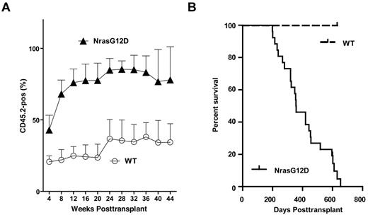 Figure 2. All recipient mice transplanted with whole bone marrow cells expressing oncogenic Nras died after a prolonged latency. Lethally irradiated mice were transplanted with 2.5 × 105 control bone marrow cells (n = 7) or bone marrow cells expressing oncogenic Nras (n = 26) along with same number of competitor cells. (A) Dynamic contribution of donor-derived white blood cells (CD45.2+) in peripheral blood of recipient mice at different time points posttransplant. (B) Kaplan-Meier comparative survival analysis of reconstituted mice. Cumulative survival was plotted against days after transplantation.